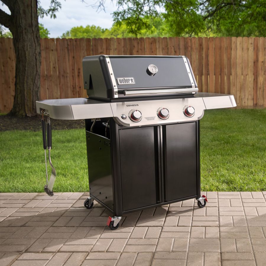 Weber Genesis E-315